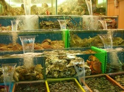 fish.jpg